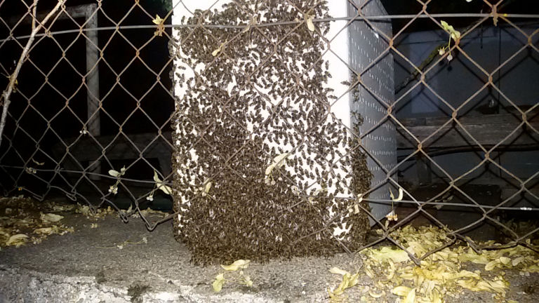 20190714_225703.jpg